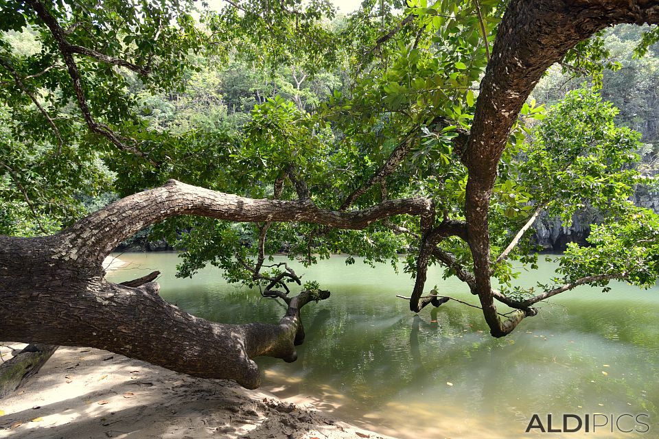 Underground river of Puerto Princesa