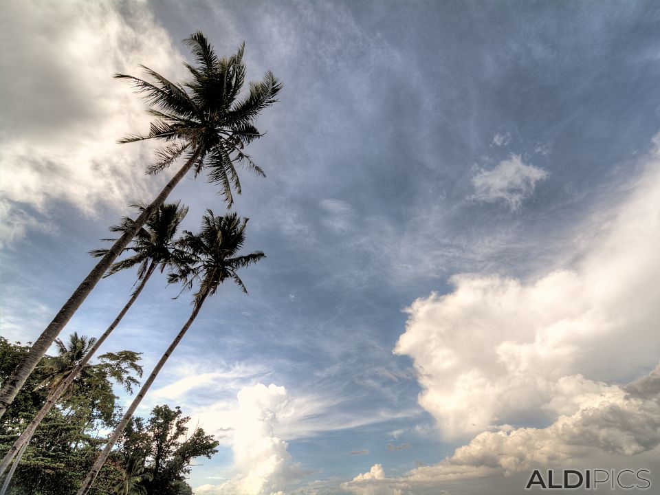 Somewhere on the island of Palawan