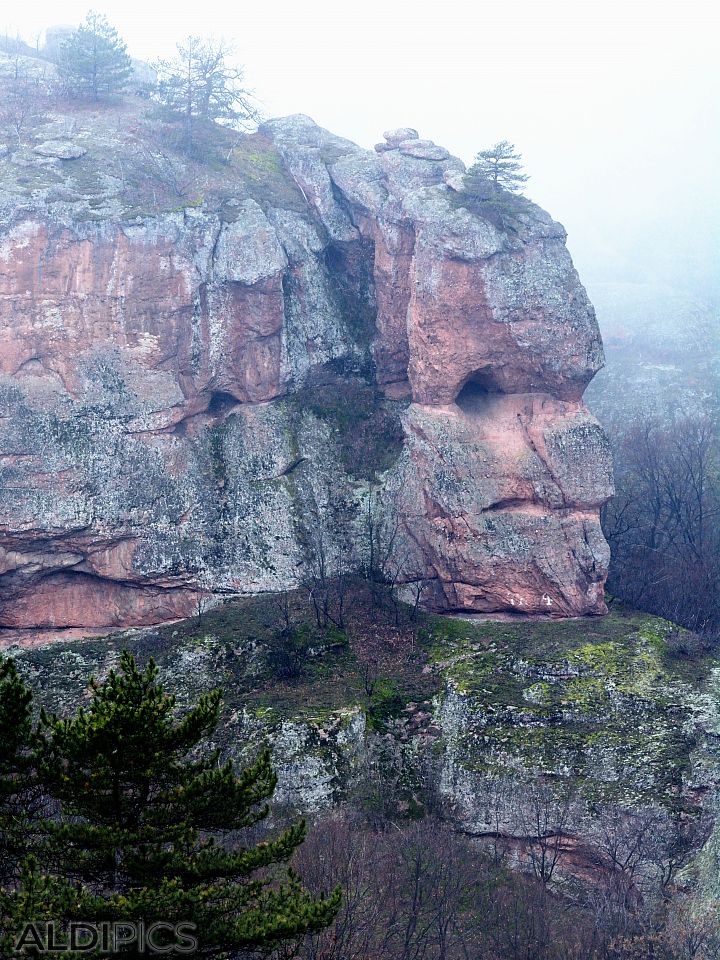 Belogradchik Rocks