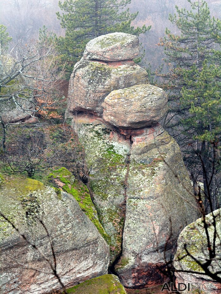 Belogradchik Rocks