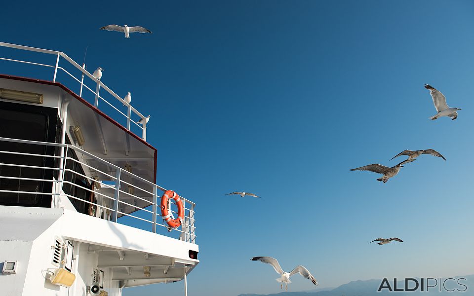 On the ferry