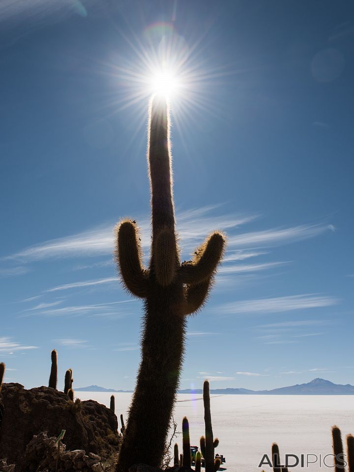 E.T. finger light