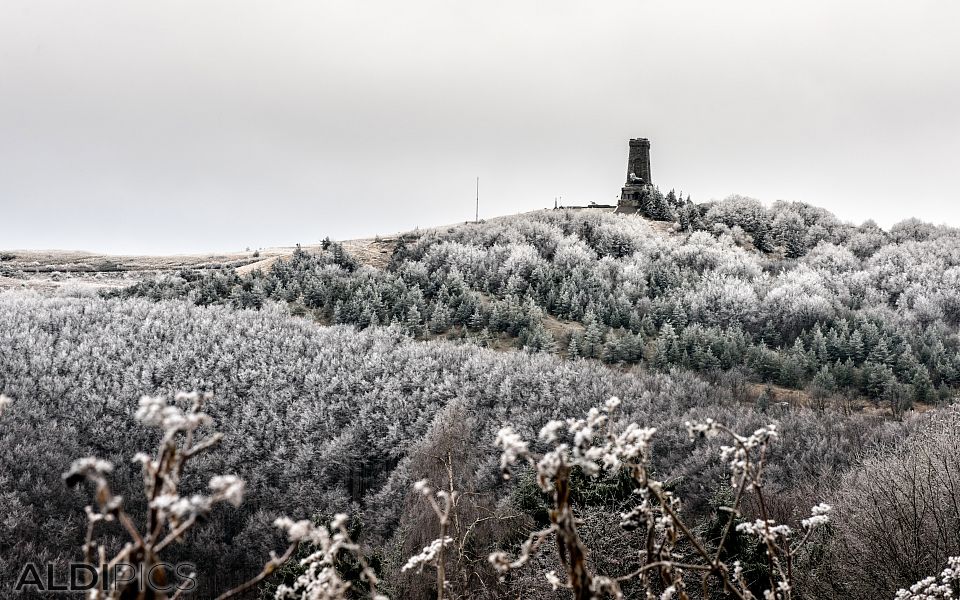 Shipka