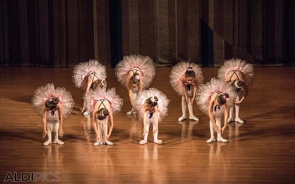 Baby Mozart - Balkan Art and Dance Fest 2016