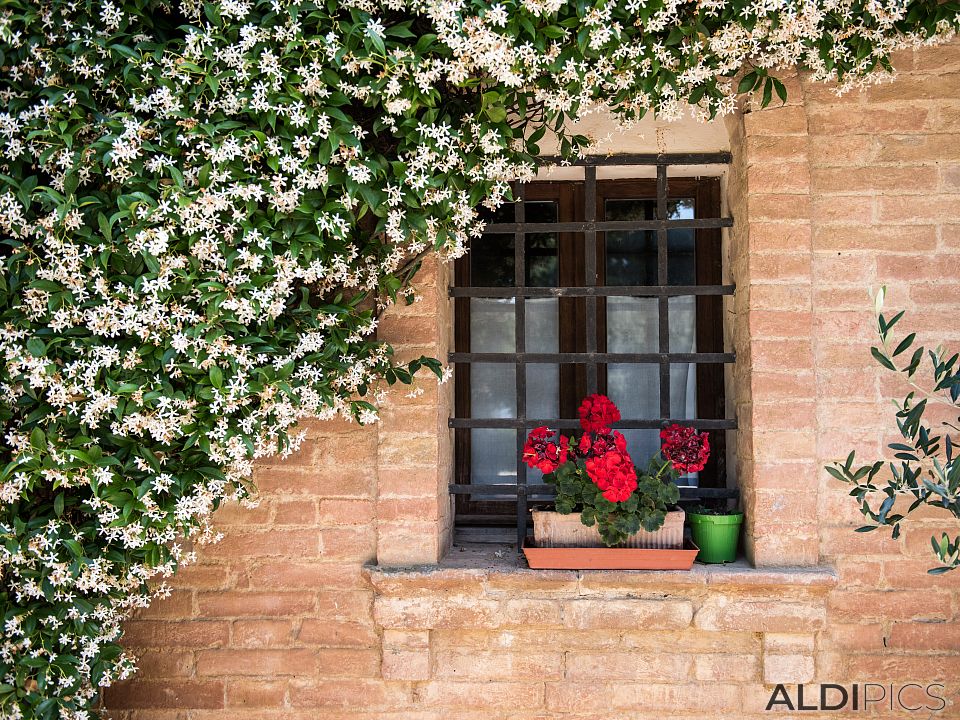 Tuscan cottage