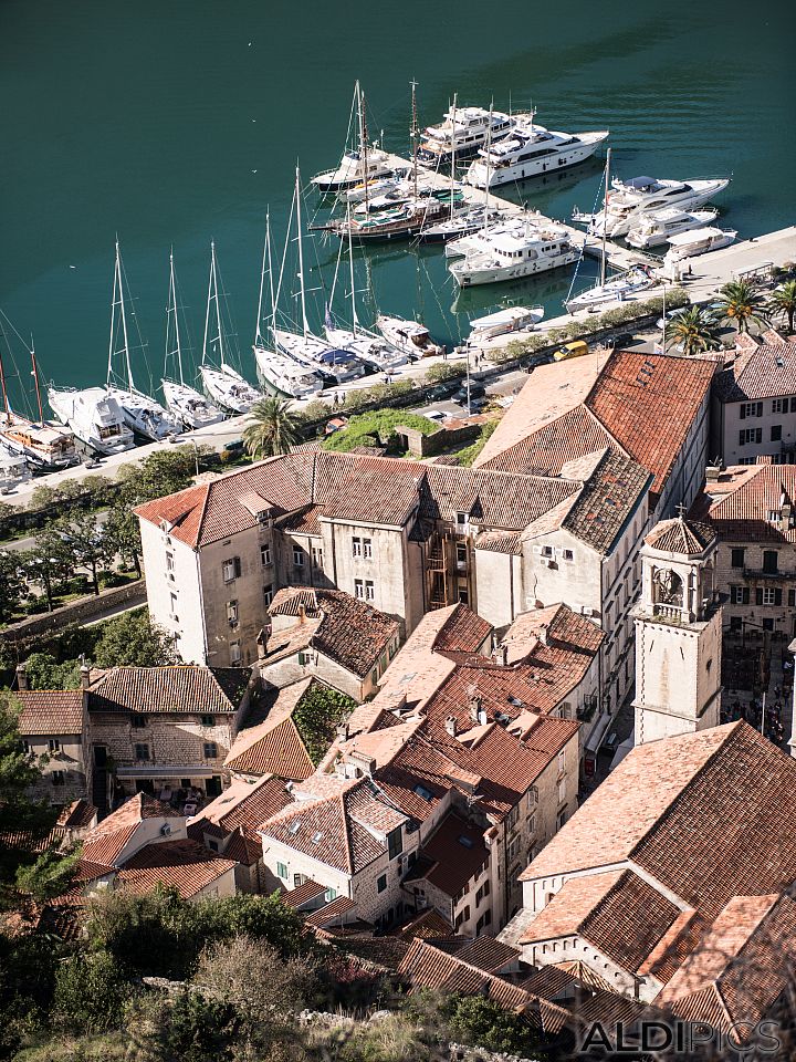 Port of Kotor