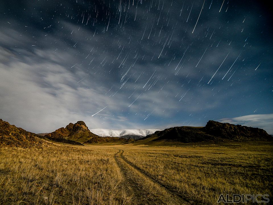 Starry sky on the steppe