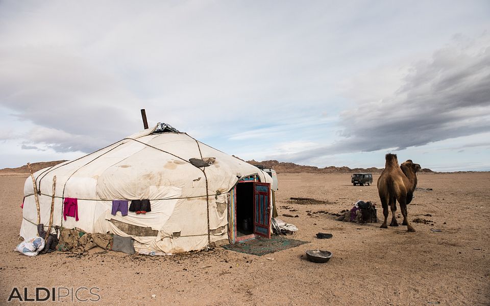 Mongolian yurt