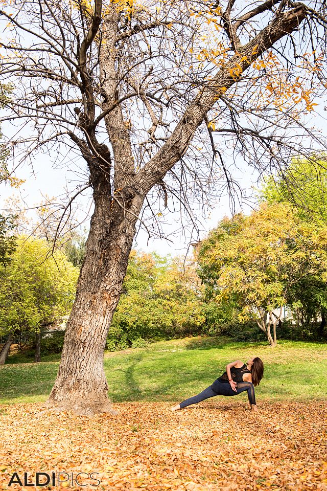 Yoga in the park