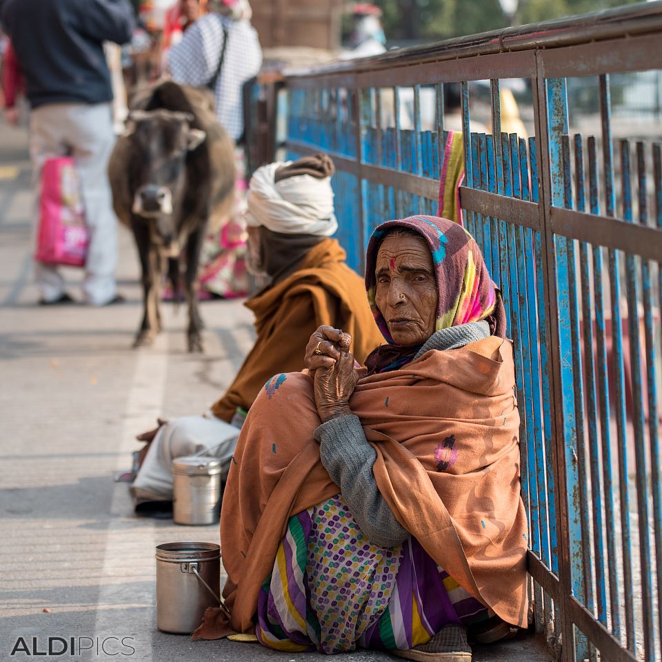 From the streets of Rishikesh