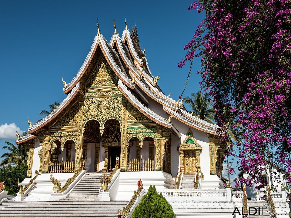 Temple near Mekong