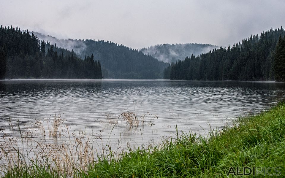 Пейзажи от Чатъма