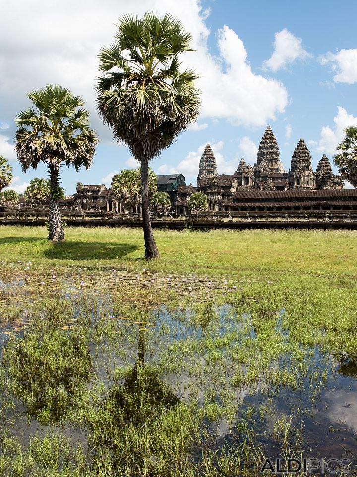 Angkor Wat