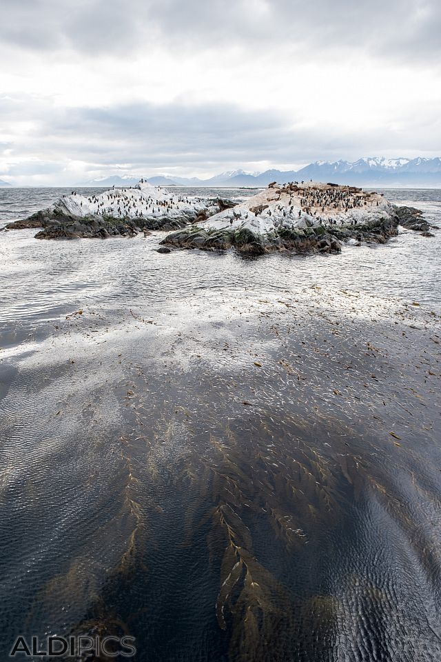 The coast of Ushuaia