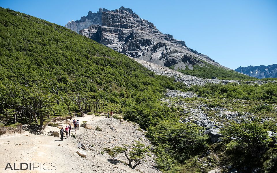 Trekking Torres Del Paine