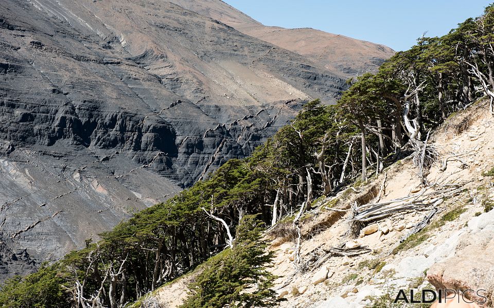 Изкачване към Torres Del Paine