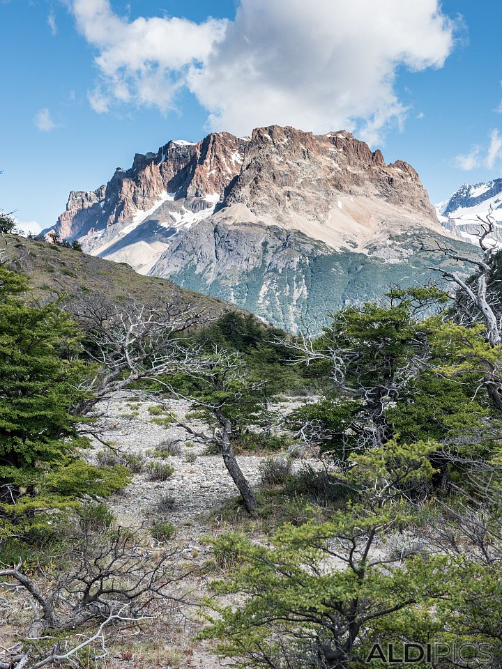 Trekking Fitz Roy