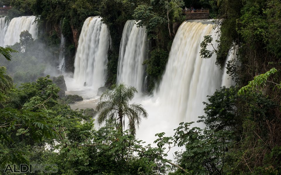 Iguazu