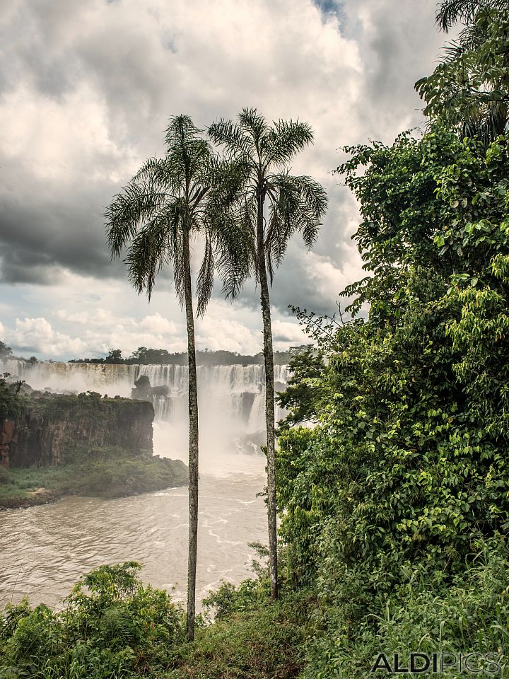 Iguazu