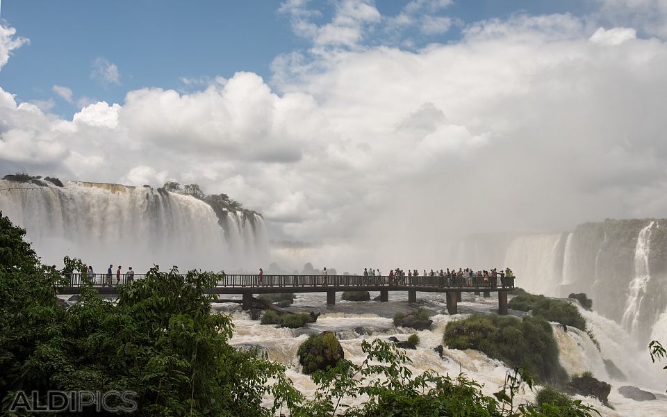 Iguazu