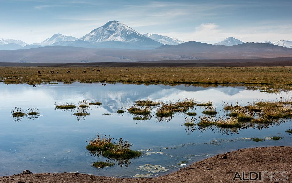 Пейзажи от Атакама