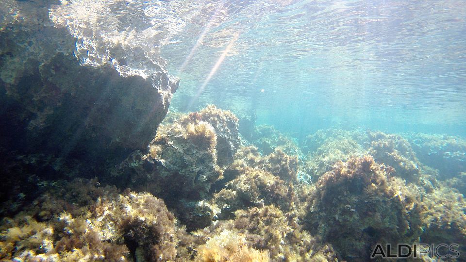 Snorkeling in Malta