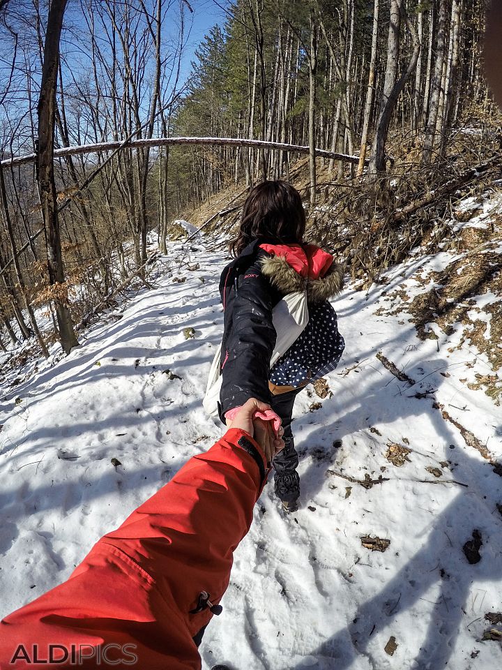 Follow me... In the snow