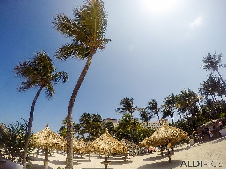 Coast of Aruba