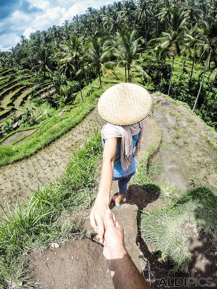 Follow me... On the rice terraces
