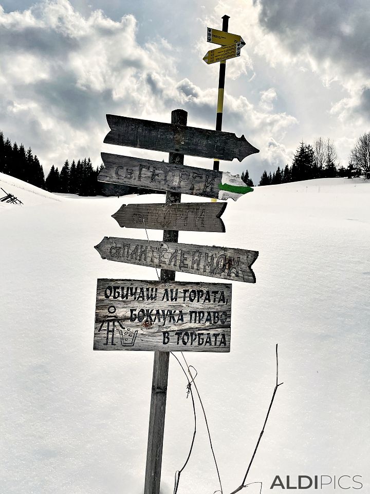 Winter walk near Progled