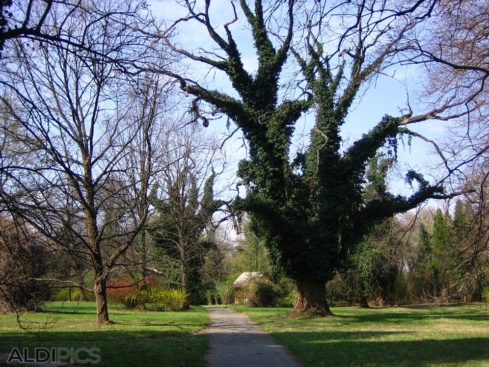 Krichim Palace Garden