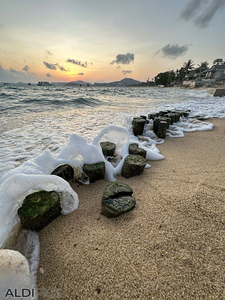 On the coast