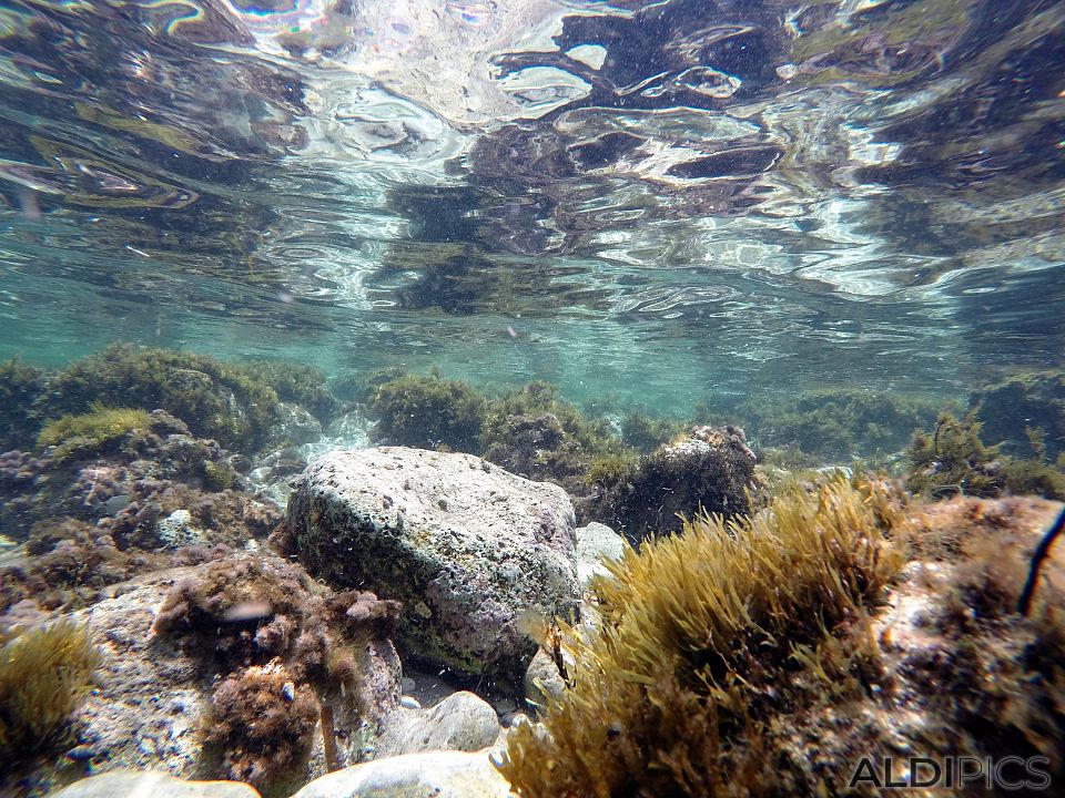 Snorkeling in Malta