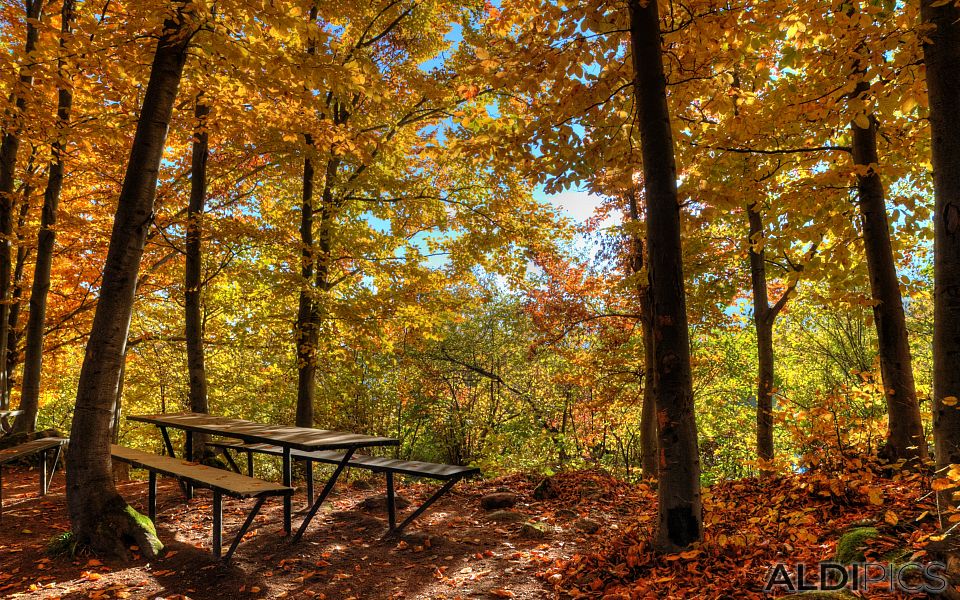 Autumn in Rhodopes near Rosovo village