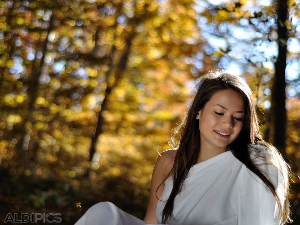 Fairies girls in autumn forest