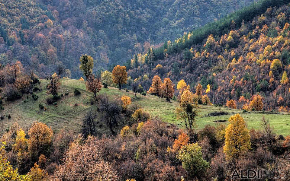 Mountain meadows near villages around Ardino