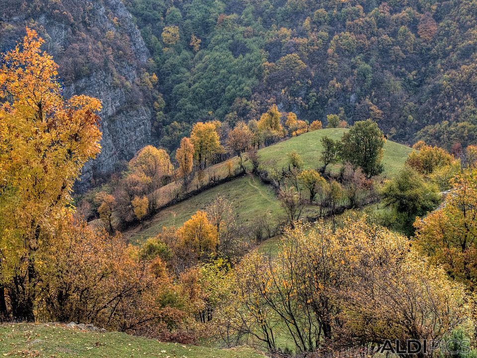 Mountain meadows near villages around Ardino