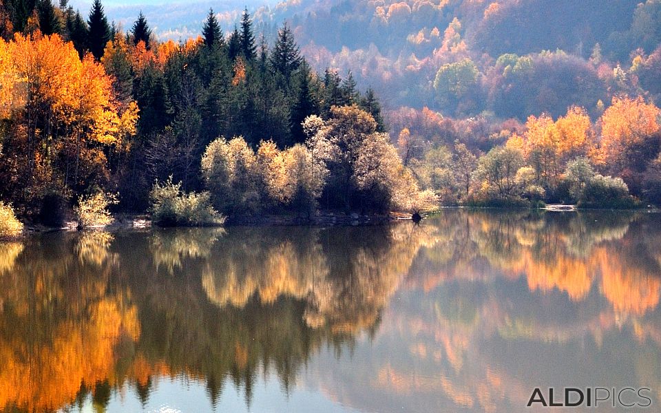 Autumn reflections