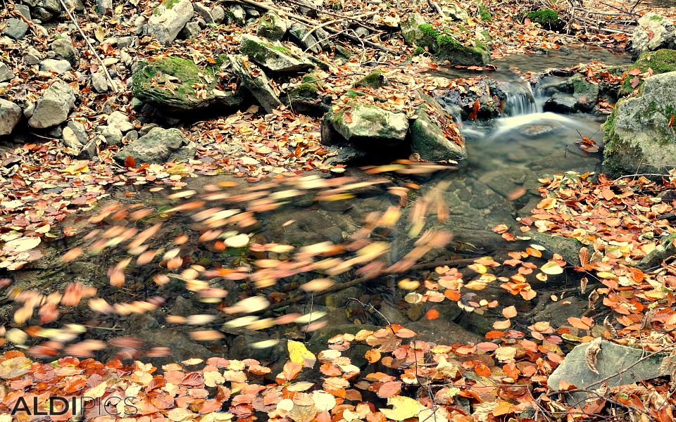 Creek near the path