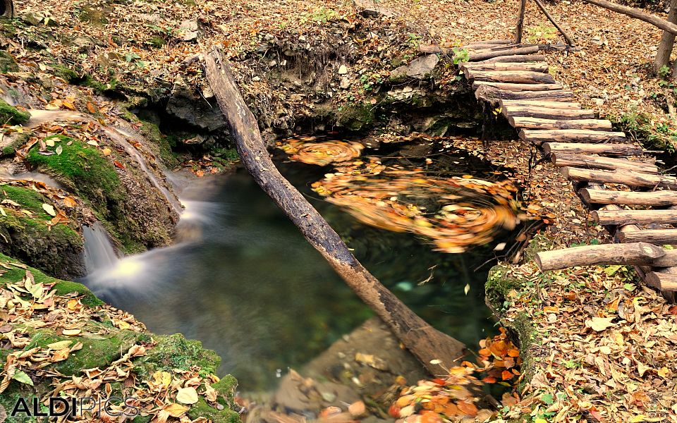 Поточе край пътеката