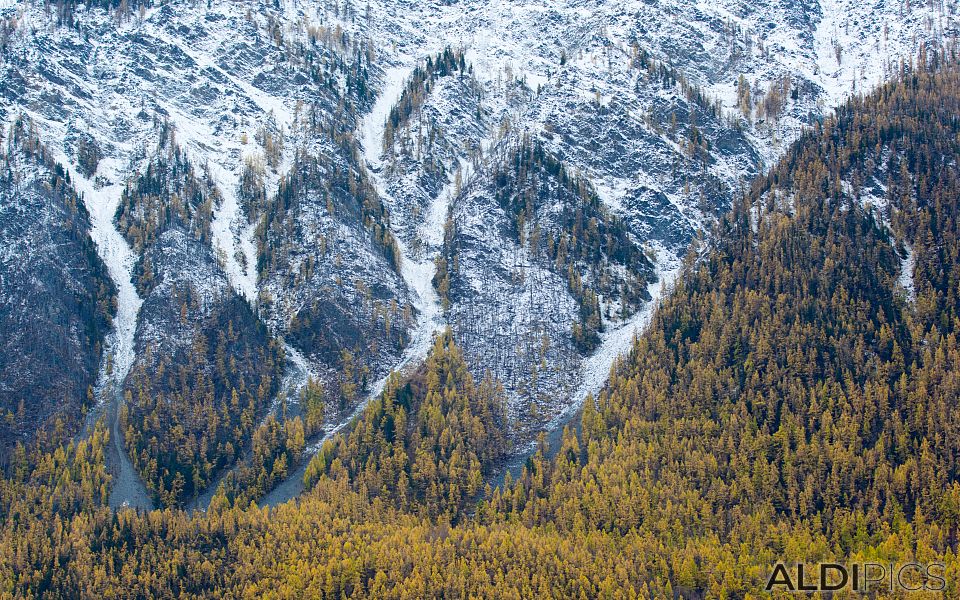 Autumn in Altai