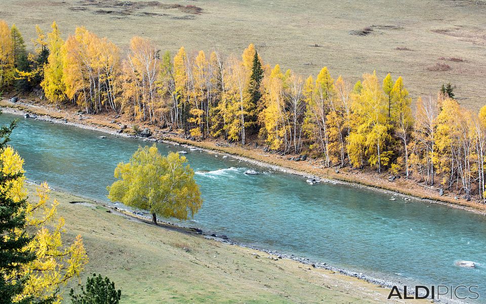 Autumn in Altai