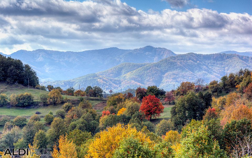 Landscapes near Zlatograd