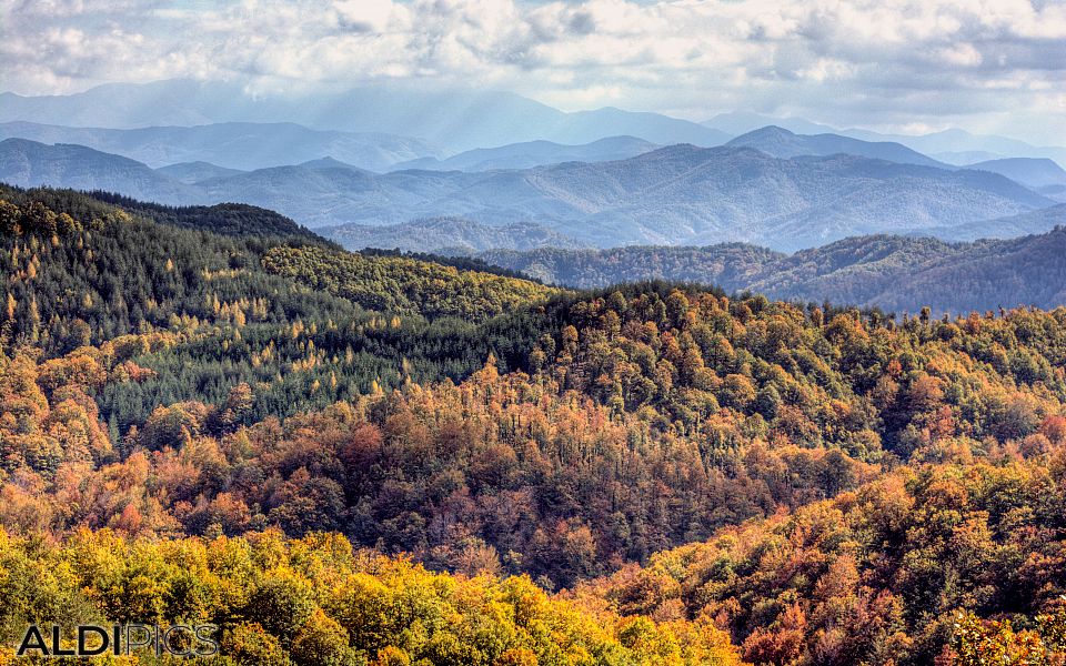 Landscapes near Zlatograd