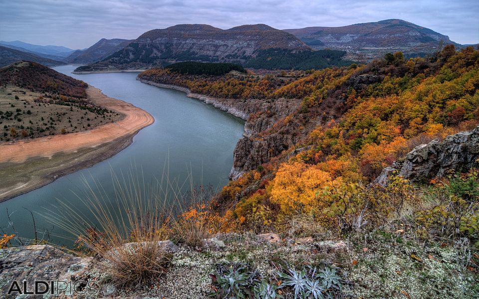 Меандрите на река Арда край Кърджали