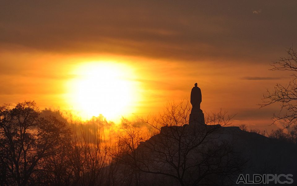 Alyosha in sunset