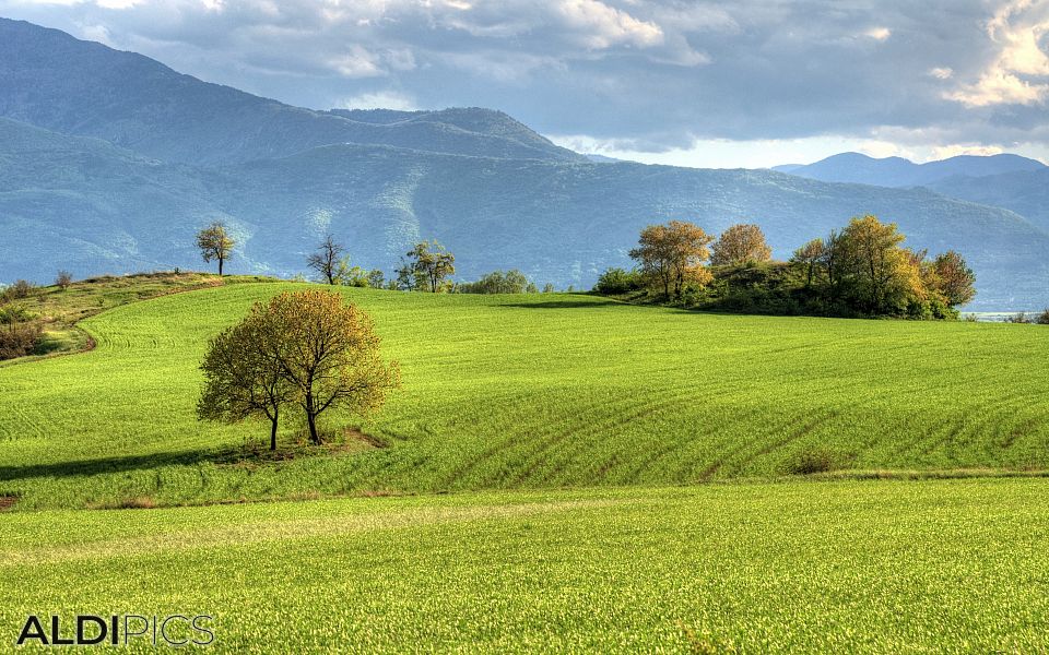 Fields near Plovdiv