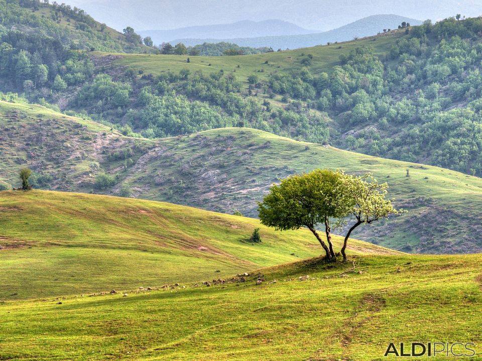 Fields near Kardzhali