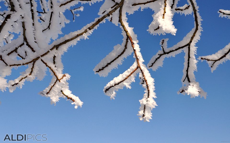 Winter landscapes from Rhodope