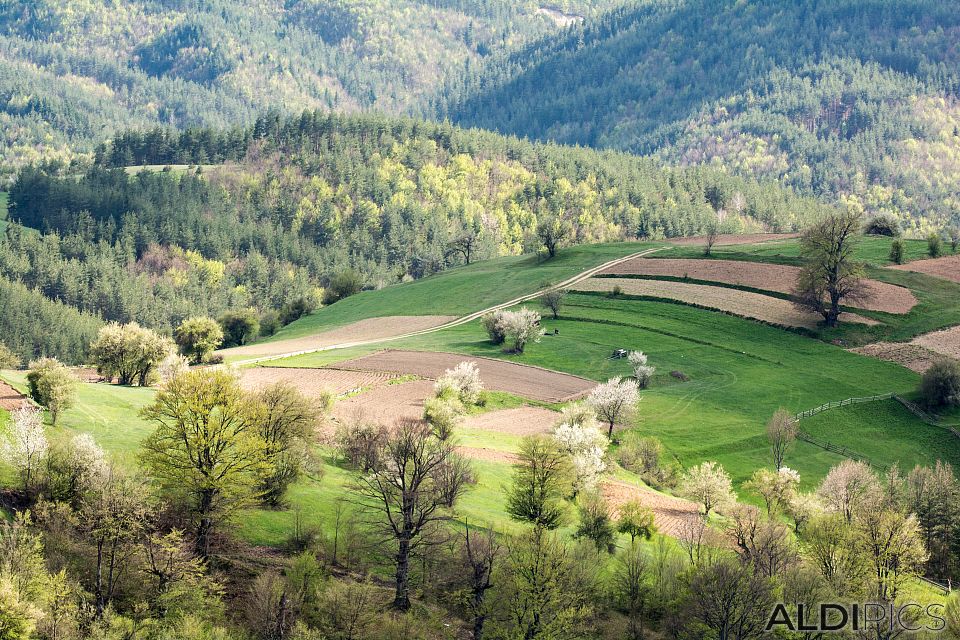 Rhodope landscapes